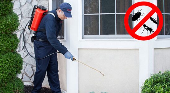 Pursaklar Kemirgen İlaçlama böcek ilaçlama ve haşere kontrolü — ilaclama-tr.com